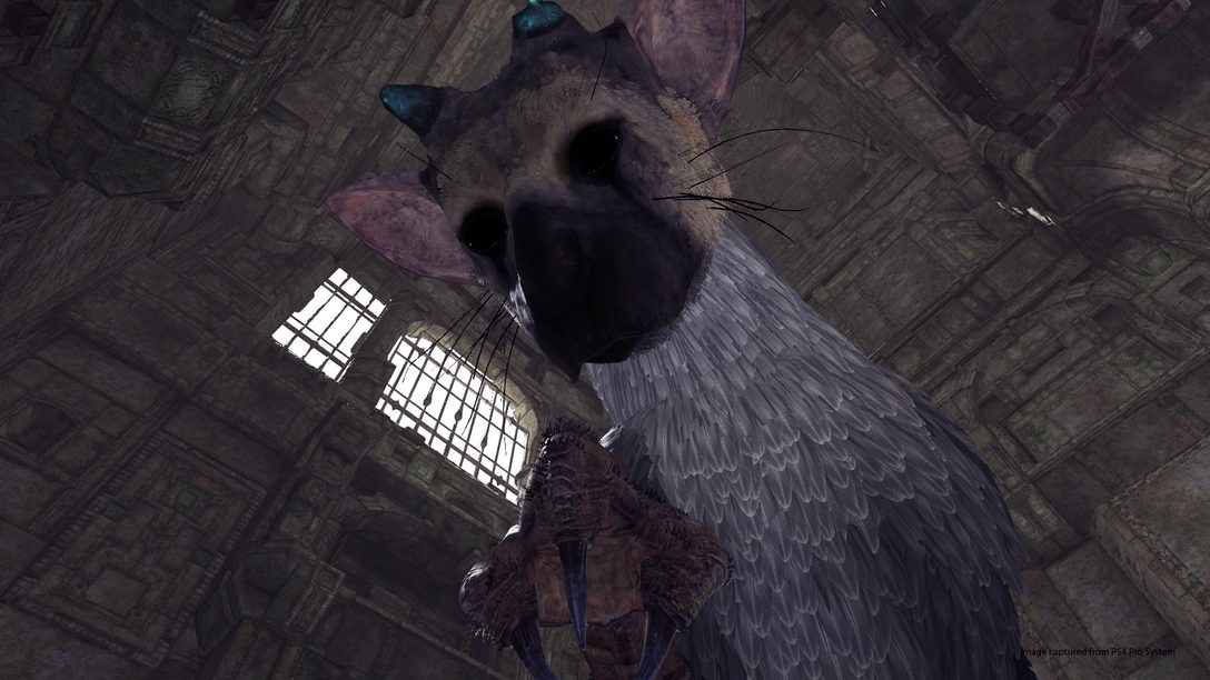 Experimente o Demo de The Last Guardian no PlayStation VR