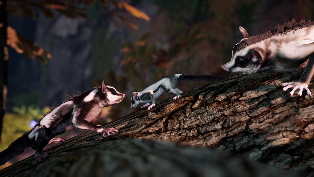 Away: The Survival Series chega em breve para PlayStation 5
