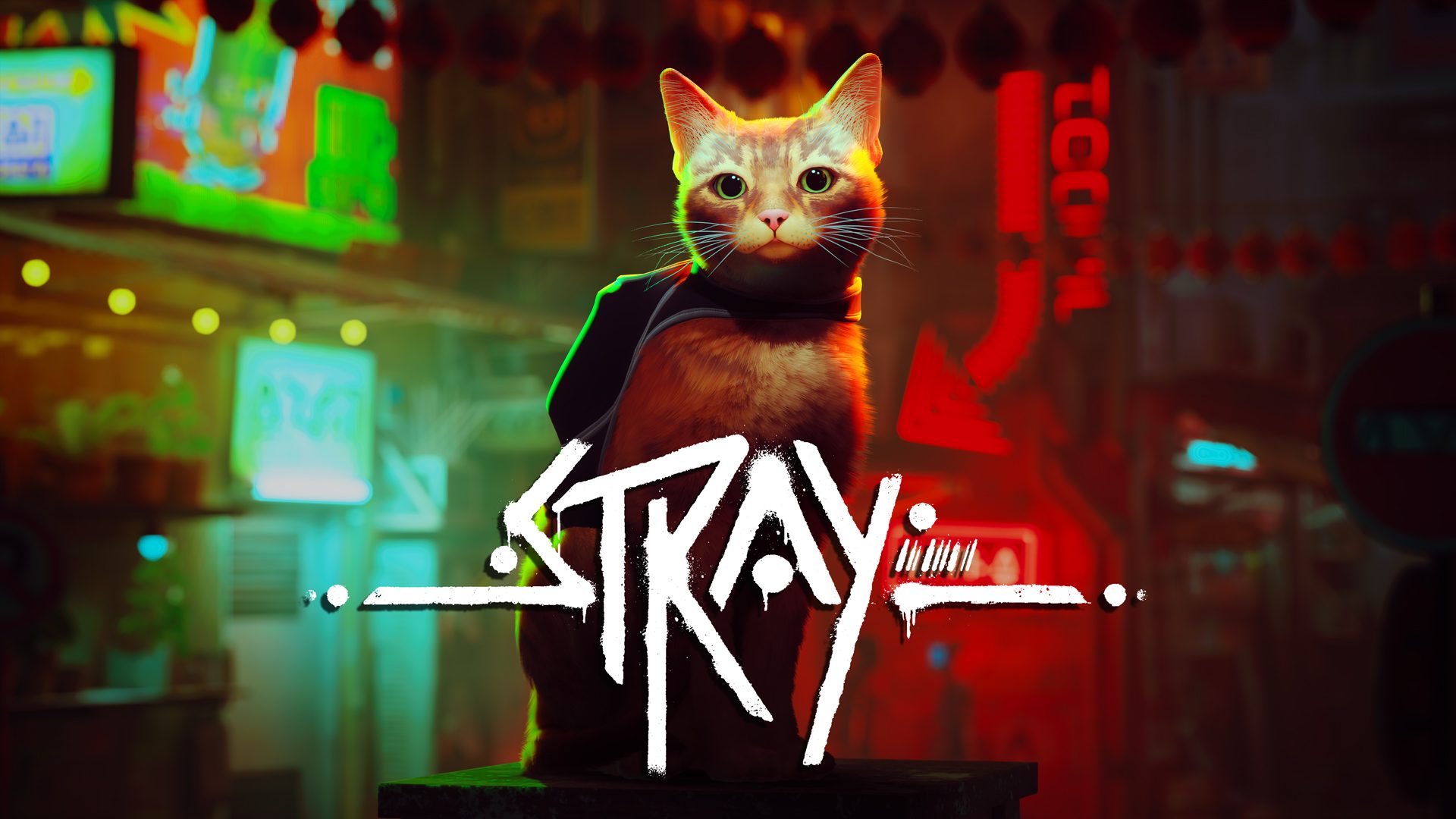 Stray chegará no inverno desse ano ao PS5 e ao PS4