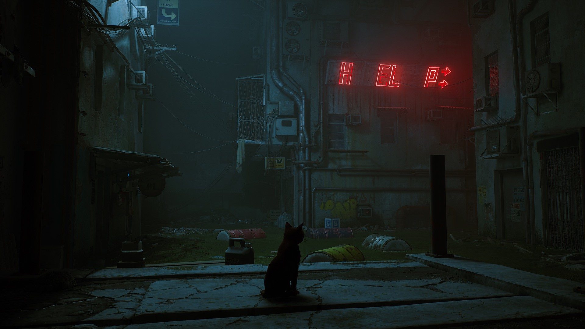 Conheça o protagonista felino de Stray, com lançamento em 19 de julho –  PlayStation.Blog BR